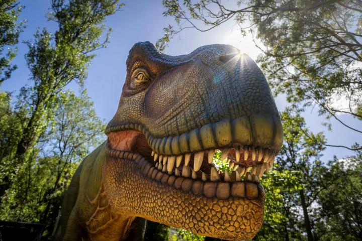 Dinos at the Zoo - Werribee Open Range Zoo