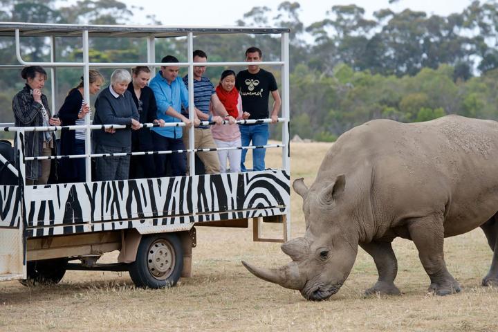 Deluxe Safari Adventure at Werribee Open Range Zoo